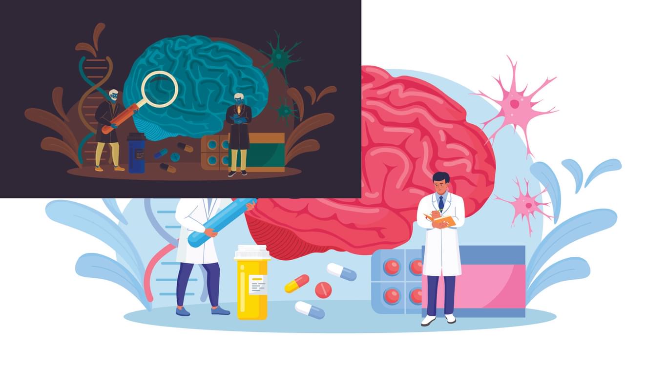 konferencja warsztaty neurologia