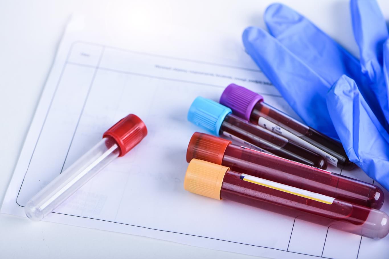 konferencja hematologia transfuzjologia